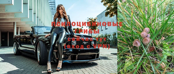 шишки Покровск