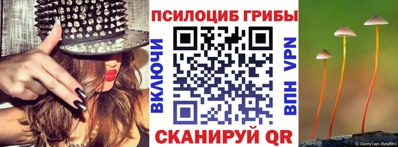Галлюциногенные грибы Psilocybine cubensis  где продают   Благодарный 