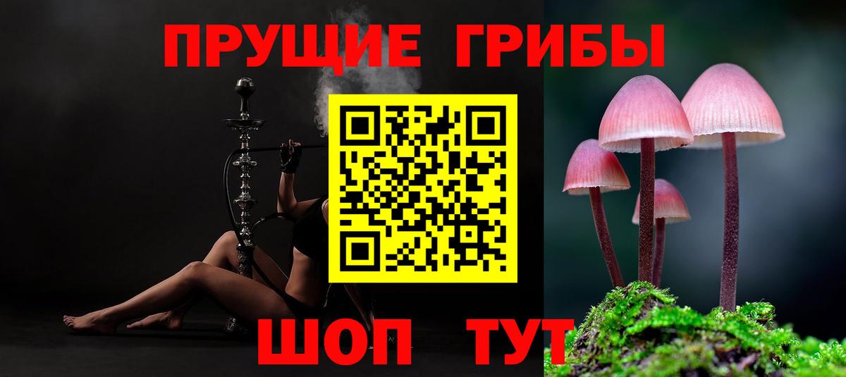 Псилоцибиновые грибы Psilocybine cubensis  Вход с VPN  Благодарный 